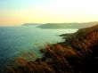 Ferns, Sea and sunset