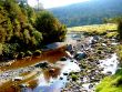 Shallow River With Field And Forest