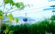 Cable Car Above Jungle