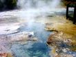 Hot Spring In Mud 