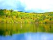 Lake With Forest Backdrop