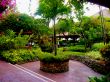 Peaceful Asian Garden with tree