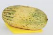 melon