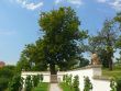Masaryk Terrace