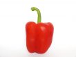 Red pepper