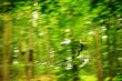 Climbing Forest 2