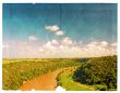 Landscape of river and cloudy sky. 