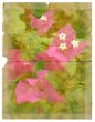 Tropical flower on a piece of old paper.