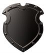metal shield