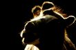 camel in the backlight