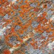 Image of colorful texture