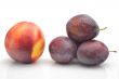 nectarines and plums on a white background