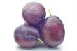 plums on a white background, close-up