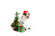 christmas jack russell terrier