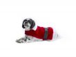 christmas shih poo