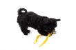 black puppy biting a ribbon