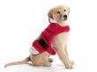 Santa Golden Retriever