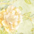 Abstract grunge textured background with rose 