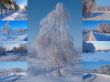 Winter collage