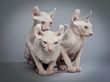 three creepy cats