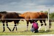 Mother and child in front of a horse gate
