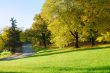 Autumn Morning in Park