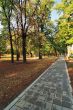 Path in Autumn Park