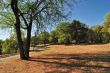 Autumn in Park