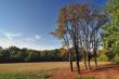 Fall Colors in Park