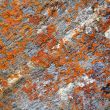 Image of colorful texture