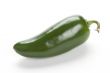jalapeno on white