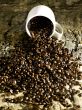 coffee beans spill