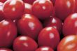 pile of tomatoes