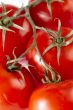 macro image of tomatoes