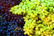 grape bunches