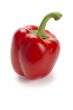 red bell peppe