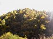 Autumn and caucasus mountains. Season landscape