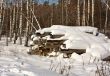 logs in the snow