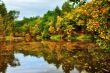 Scenic lake in autumn forest