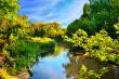 Scenic river in autumn forest