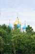 Domes of the Novospassky  Monastery  in Moscow