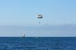 Marine parachute amusement