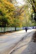 in a Moscow park,autumn