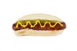 hotdog sandwich with mustard sauce
