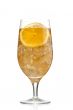 orange slice and juice in glass