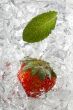 peppermint leaf and strawberry on ice cubes
