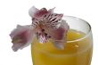 mango cocktail drink