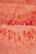 closeup watermelon