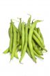 string beans isolated