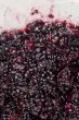 smashed blackberry fruits